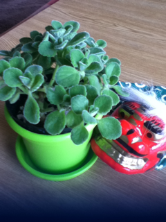 image-20130106095618.png