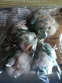 image-20130106101003.png